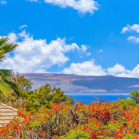 Wailea Grand Champions 58 Appartement